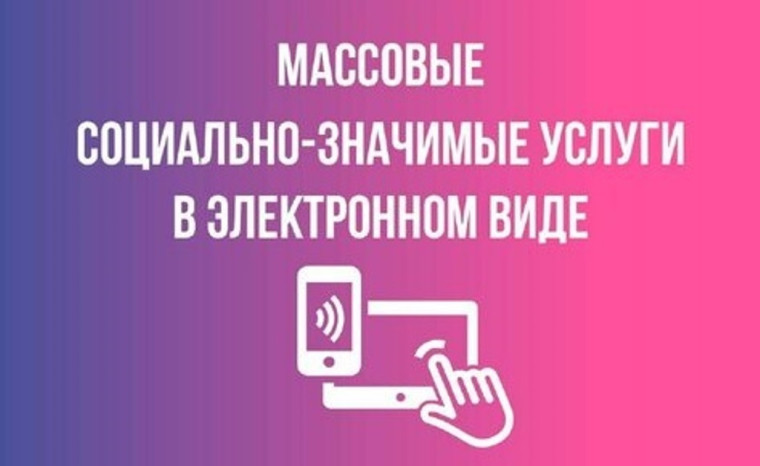 Возможности получения массовых социально значимых услуг посредством единого портала государственных и муниципальных услуг..